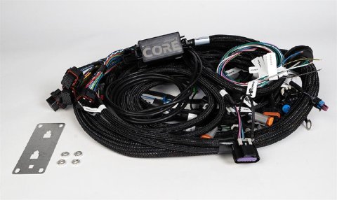 HP Tuners CORE LS Drive-By-Wire ECU Harnesses COR-HAR-002 Wiring Harnesses, ECU, Terminated, Drive-By-Wire, Chevrolet, Gen IV LS, LSX, 58X/4X Main Harness, Each thumbnail 2