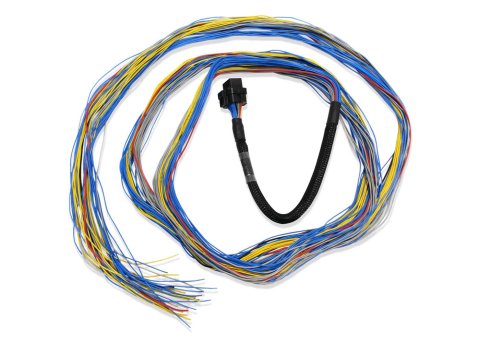 FuelTech FT600 Unterminated Harnesses 2001004001 UNTERMINATED HARNESS 10FT thumbnail 2