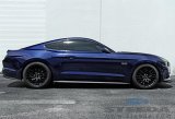 Steeda Sport Suspension Springs for 2015-2022 MUSTANG - 555-8210 Lowering Springs, Sport, Front and Rear Coils, 1.125/1.000 in. Drop, Blue Powdercoated, Ford Mustang, Set of 4 thumbnail 2