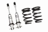 Aldan American Road Comp Suspension Packages for 1972-1979 RANCHERO, 1972-1976 TORINO - 300160 Coilover Kit, Lowered, Front, Twin-Tube, Aluminum Body, Natural, Polyurethane Bushing, Black, 450 lbs./in., Ford, Kit thumbnail 2