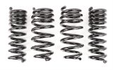 Aldan American Lowering Springs for 2008-2018 CHALLENGER - 500101 AXS Challenger Spring Kit, Front and Rear, 1.0 in. Front, 1.5 in. Rear, Black, Set of 4 thumbnail 1