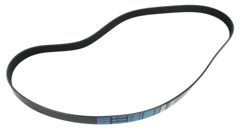Dayco Supercharger Belts 5080663SC Ford Lightning/Harley Davidson , 1999-2003, 5.4 POLY Rib Belt thumbnail 1