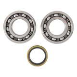 Hot Rods 07-09 RM-Z 250 Main Bearing & Seal Kit thumbnail 1