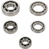 Hot Rods 09-13 Honda TRX 420 FPA IRS 420cc Transmission Bearing Kit thumbnail 1