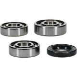Hot Rods 09-20 Polaris RZR 170 170cc Counter Balancer Kit thumbnail 2