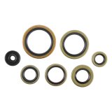 Vertex Gaskets 21-23 Gas-Gas EC250 Oil Seal Kit thumbnail 1
