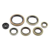 Vertex Gaskets 21-23 Gas-Gas EC250 Oil Seal Kit thumbnail 2