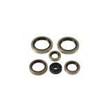 Vertex Gaskets 21-23 Gas-Gas MC125 Oil Seal Kit thumbnail 1