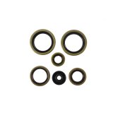 Vertex Gaskets 21-23 Gas-Gas MC125 Oil Seal Kit thumbnail 2