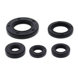 Vertex Gaskets 12-13 Honda TRX500FM Oil Seal Kit thumbnail 1