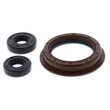 Vertex Gaskets 2016 Polaris ACE 900 EFI EPS Oil Seal Kit thumbnail 2