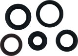 Vertex Gaskets 05-23 Polaris Phoenix 200 Oil Seal Kit thumbnail 2