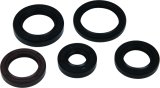 Vertex Gaskets 05-23 Polaris Phoenix 200 Oil Seal Kit thumbnail 3