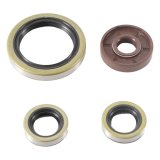 Vertex Gaskets 21-23 Gas-Gas EX450F Oil Seal Kit thumbnail 1