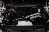 K&N 15-23 Ford F-150 (Incl. Raptor) 2.7L/3.5L V6 Performance Air Intake System thumbnail 3