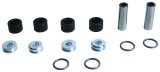 All Balls Racing 18-19 Polaris ACE 570 Front Lower A-Arm Bearing Kit, 2 Kits Req. Per Veh. thumbnail 1