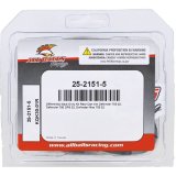 All Balls Racing Differential Seal Kit thumbnail 3