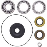 All Balls Racing Differential Kit thumbnail 4