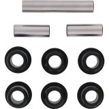 All Balls Racing Rear Ind. Knuckle Side Kit thumbnail 2