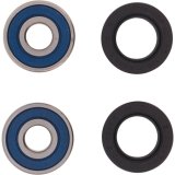 All Balls Racing Wheel Bearing Kit thumbnail 3