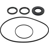 All Balls Racing Differential Seal Kit thumbnail 3