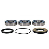 All Balls Racing Wheel Bearing Kit thumbnail 1