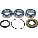 All Balls Racing Wheel Bearing Kit thumbnail 3