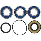All Balls Racing Wheel Bearing Kit thumbnail 4