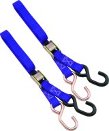 BikeMaster 1in Tiedown - Purple thumbnail 1