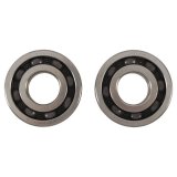 Hot Rods 89-04 Yamaha YFM 350 X Warrior 350cc Main Bearing & Seal Kit thumbnail 1