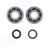 Athena 05-08 Suzuki RM 250 Main Bearing & Seal Kit thumbnail 2