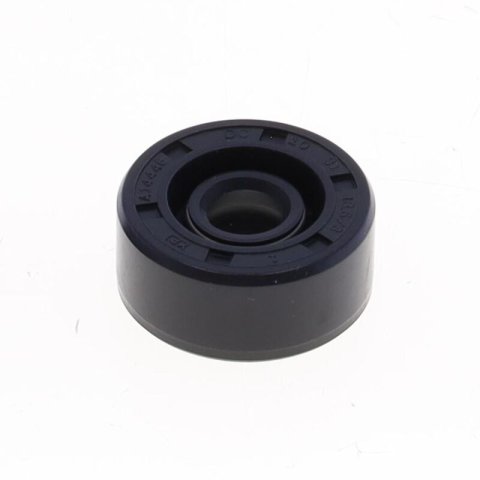 Athena 10x31x13.5/3mm NBR Oil Seal w/Rubber Exterior/Double Seal-Tip/Springs