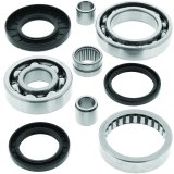 QuadBoss 99-02 Kawasaki KVF300 Prairie 2x4 Rear Differential Bearing & Seal Kit thumbnail 2