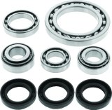QuadBoss 01-02 Arctic Cat 250 4x4 Front Differential Bearing & Seal Kit thumbnail 1