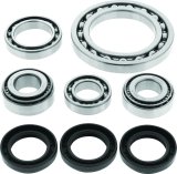 QuadBoss 01-02 Arctic Cat 250 4x4 Front Differential Bearing & Seal Kit thumbnail 2