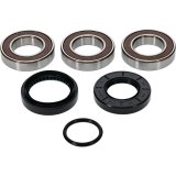 Pivot Works Premium Wheel Bearing thumbnail 5