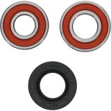 Pivot Works Premium Wheel Bearing thumbnail 4