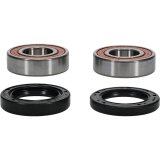 Pivot Works Premium Wheel Bearing thumbnail 1