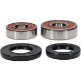 Pivot Works Premium Wheel Bearing thumbnail 1
