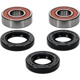 Pivot Works Premium Wheel Bearing thumbnail 2