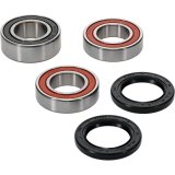 Pivot Works Premium Wheel Bearing thumbnail 2