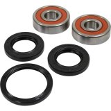 Pivot Works Premium Wheel Bearing thumbnail 4