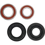 Pivot Works Kubota Wheel Bearing Kit Premium Bearings thumbnail 5
