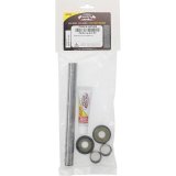 Pivot Works 19-23 Honda CRF250F Swing Arm Kit thumbnail 3