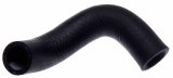 Gates 86-91 Ford Ranger V-6 2.9L By Pass Molded Coolant Hose thumbnail 1