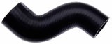 Gates 05-07 Chevrolet Aveo 4-Cyl. 1.6L Lower - Pipe To Water Pump Molded Coolant Hose thumbnail 1