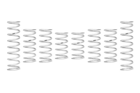Eibach 22-25 Polaris RZR PRO R Ultimate Stage-4 UTV Spring Kit thumbnail 1
