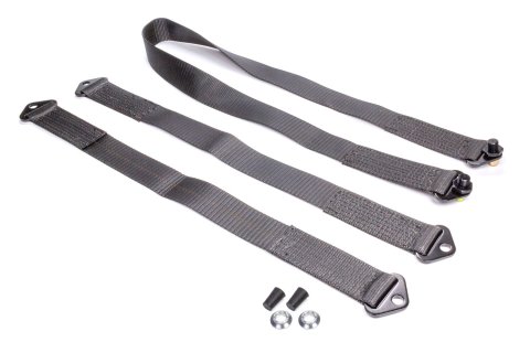 Safety Tether - Full Chassis - 1 in Wide - Hardware Included - Nylon - Black - Wing Sprint Car - Kit thumbnail 2