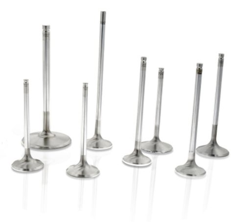 Exhaust Valve - 6000 Series - 1.600 in Head - 0.313 in Valve Stem - 5.060 in Long - Stainless - Small Block Chevy - Set of 8