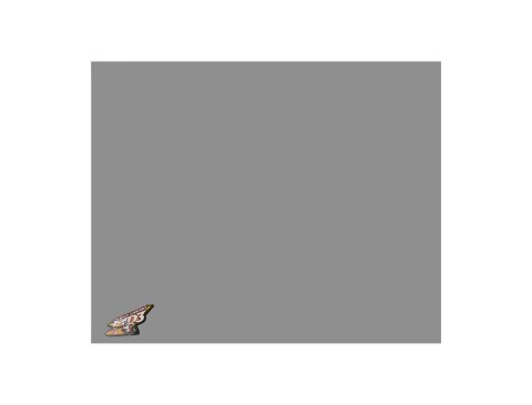 Nose - MD3 - Center - 48 in x 48 in - 0.125 in Thick - Plastic - Gray - Dirt Modified - Each
